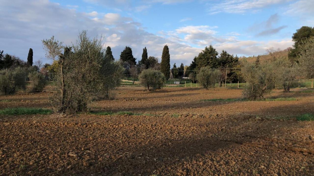 Agriturismo Il Broletto スヴェレート エクステリア 写真